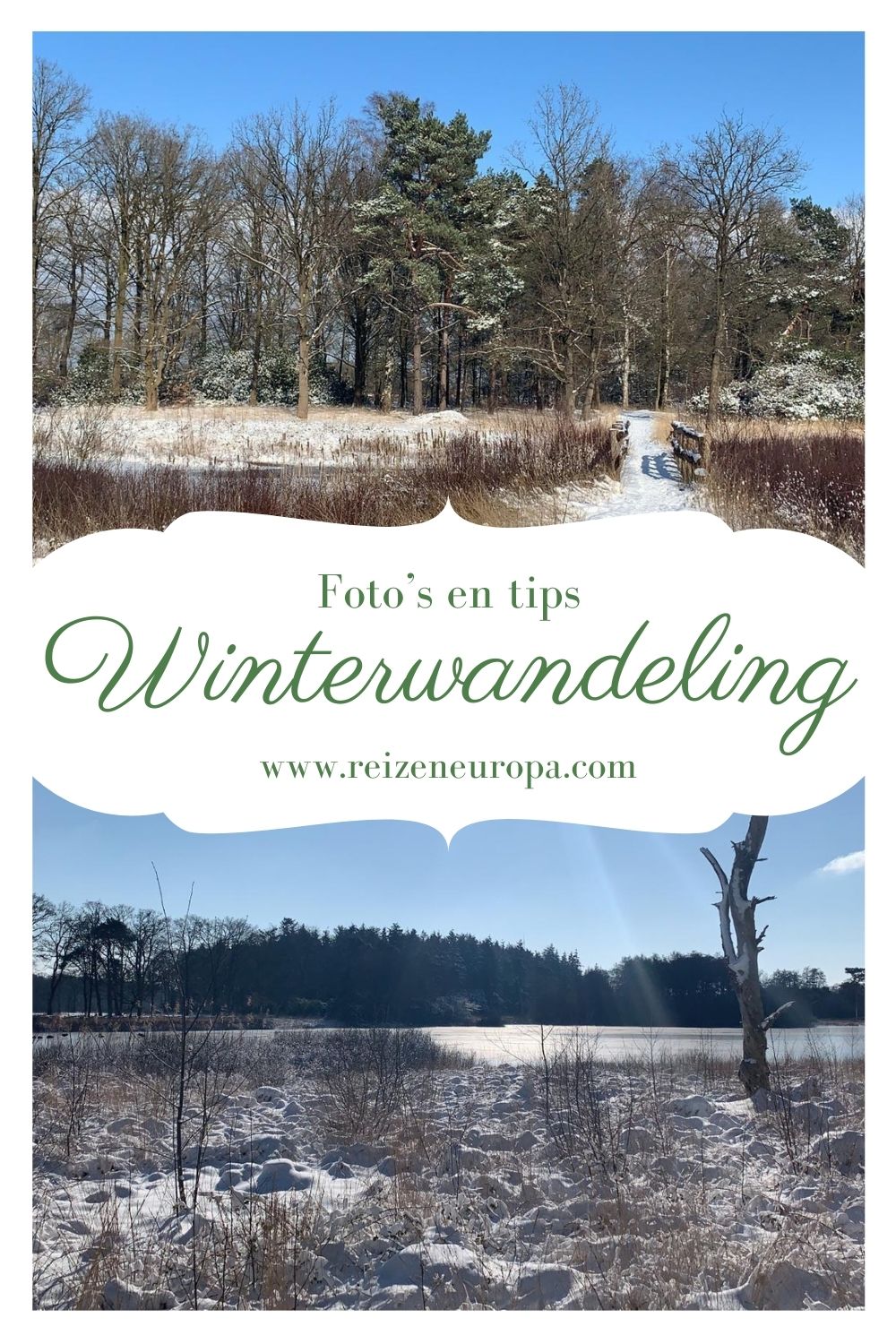 Winterwandeling Noord-Brabant