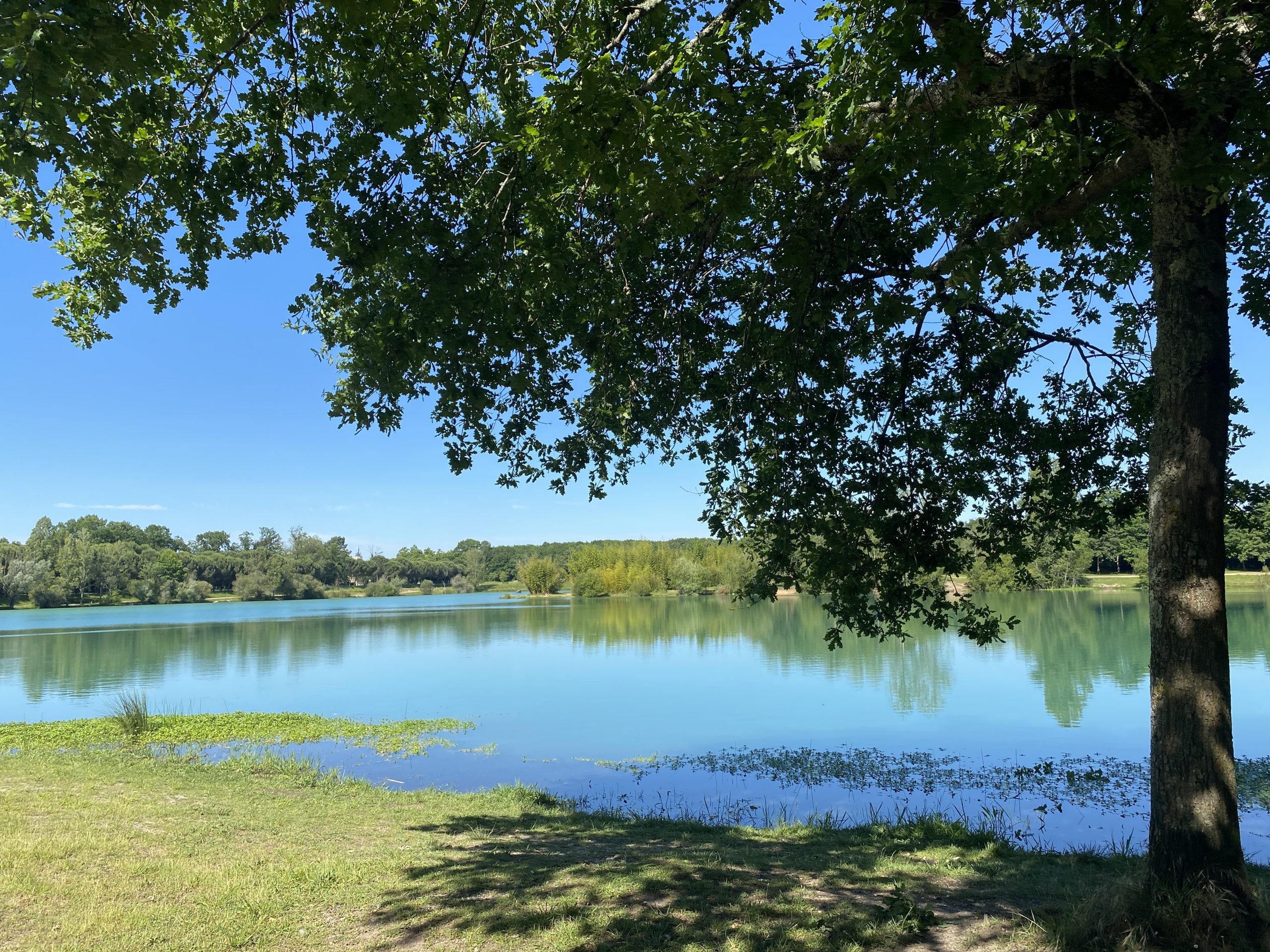 Lac Vert Bordeaux wandeling